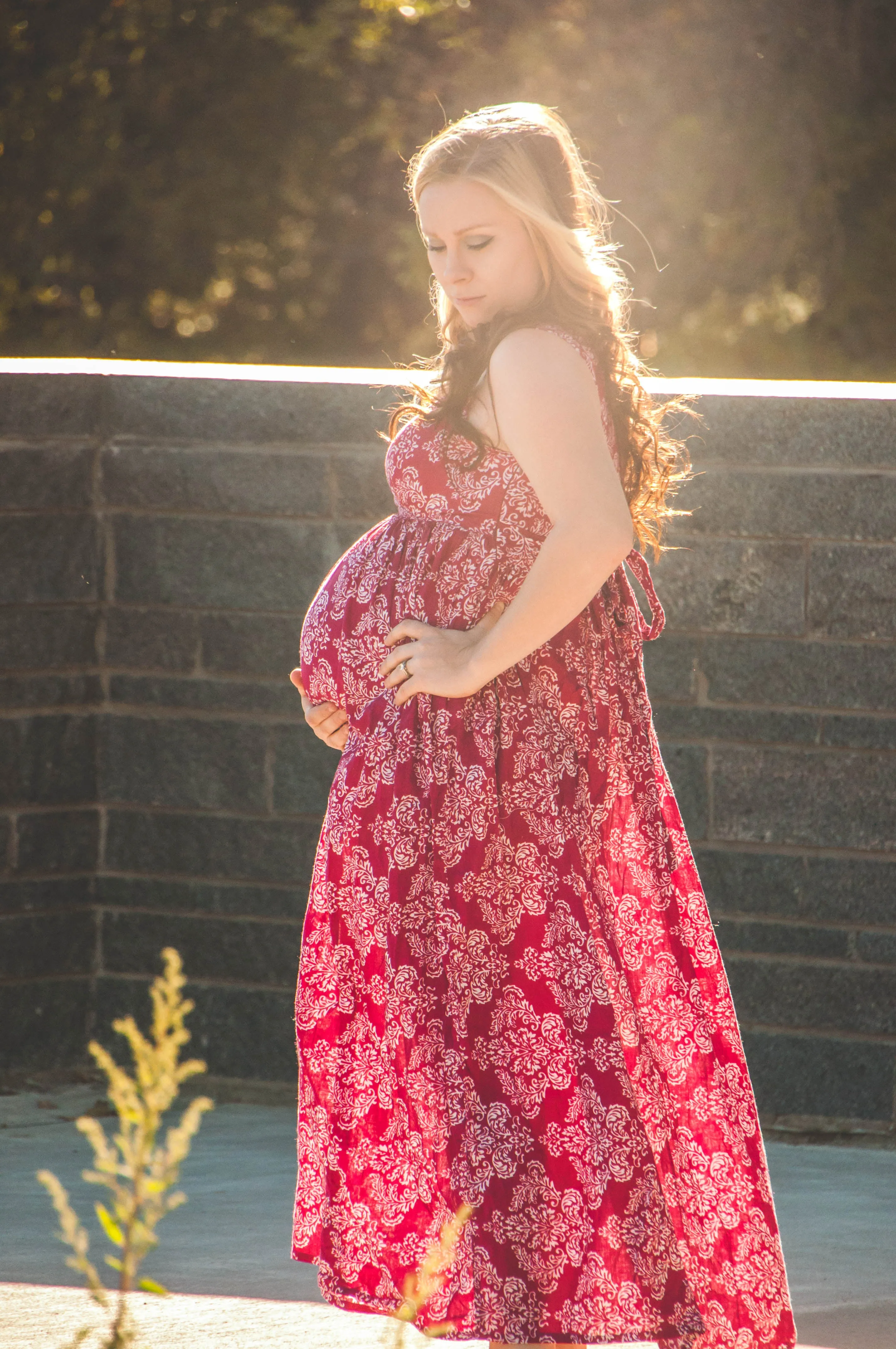 Damask Maternity Maxi Dress