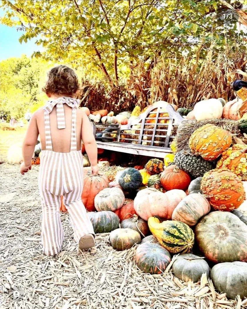 Hippie Vibes Jumpsuit in Pink Stripes